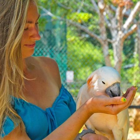 Birds Resort Hambantota Εξωτερικό φωτογραφία