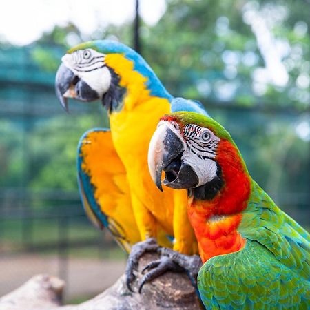 Birds Resort Hambantota Εξωτερικό φωτογραφία