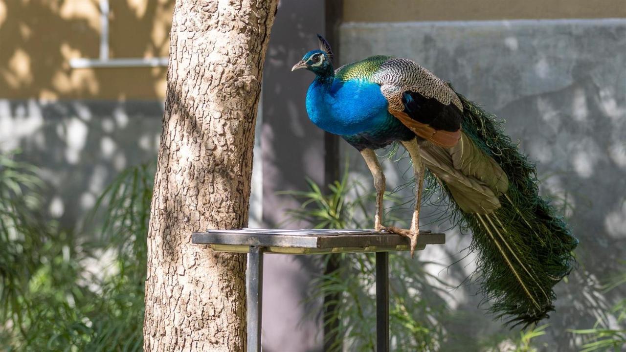 Birds Resort Hambantota Εξωτερικό φωτογραφία