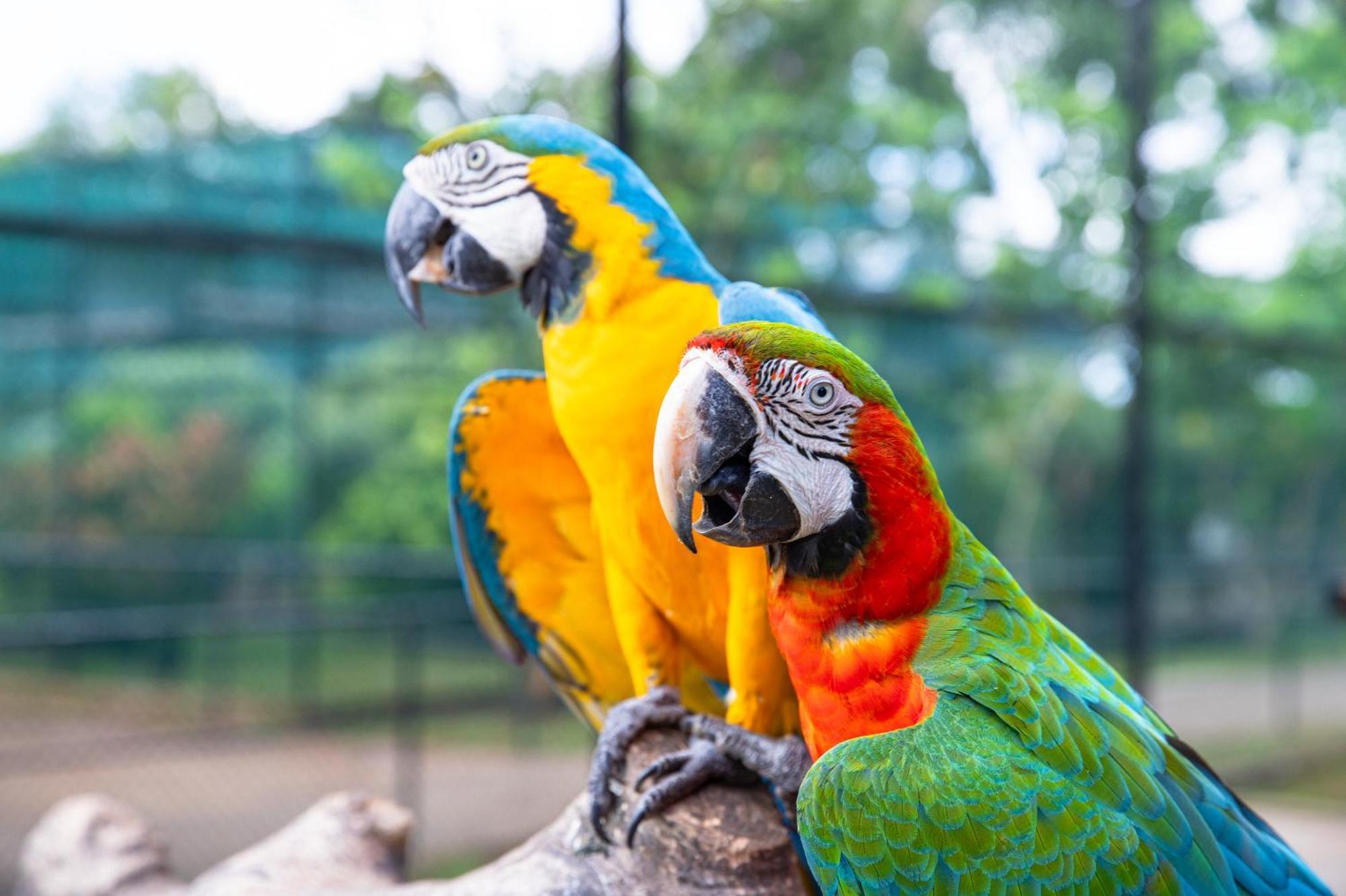Birds Resort Hambantota Εξωτερικό φωτογραφία